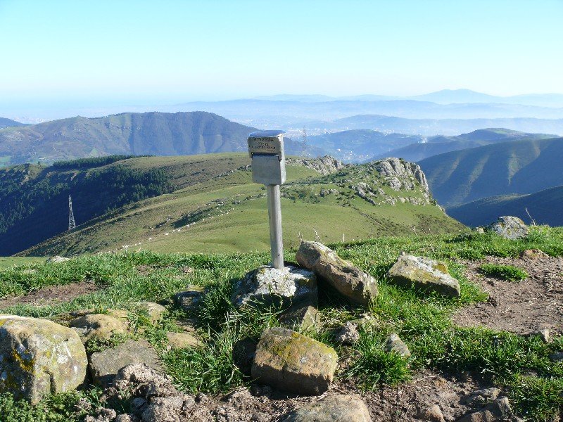 Buzoia