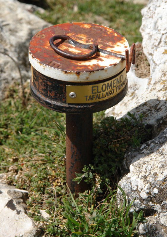Buzoia