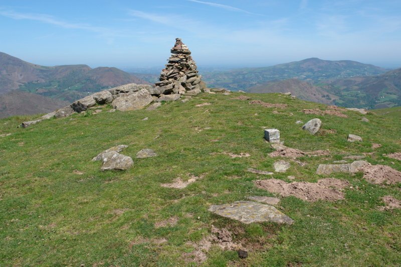 Tontorra