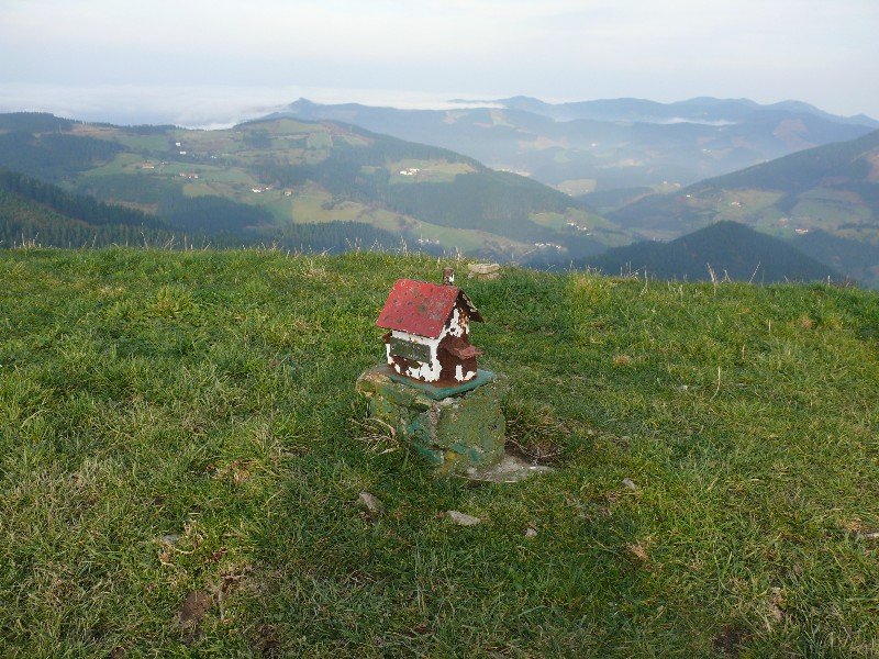 Buzoia