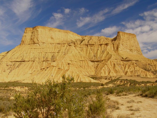 Rallon