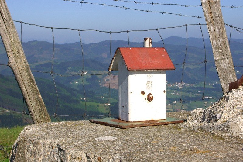 Buzoia