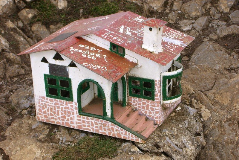 Buzoia