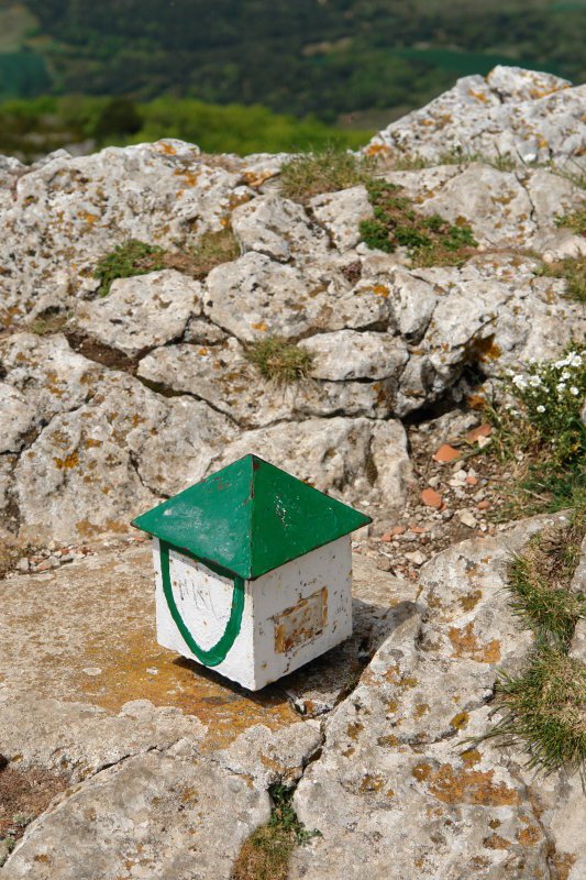 Buzoia