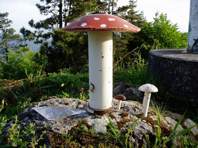Agerreburuko buzoia
