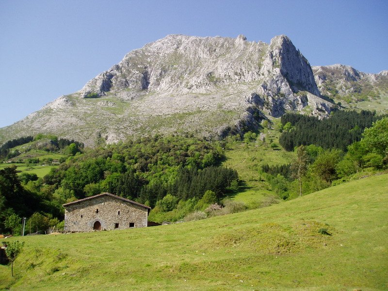 Arrazolatik ikusita