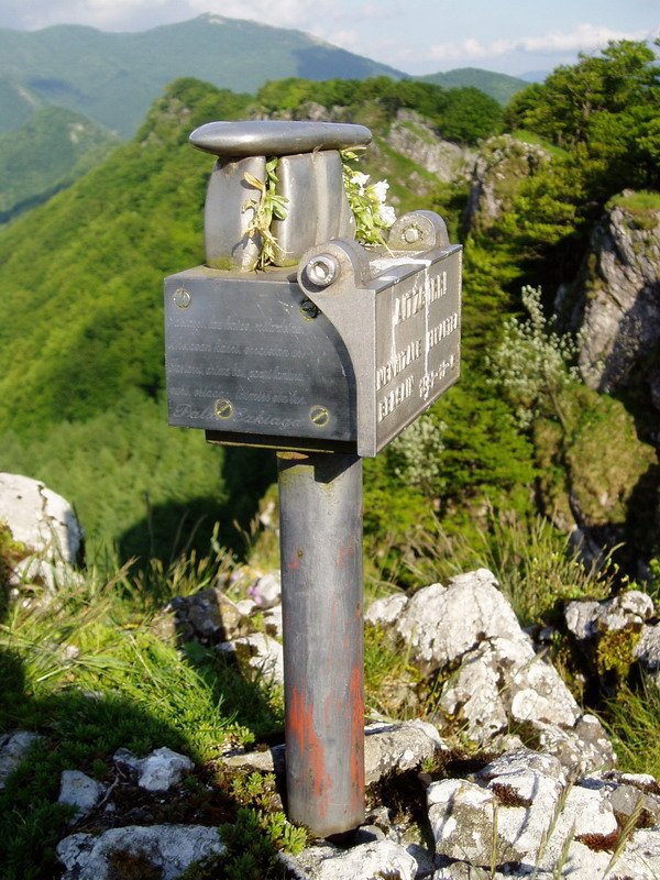 Buzoia