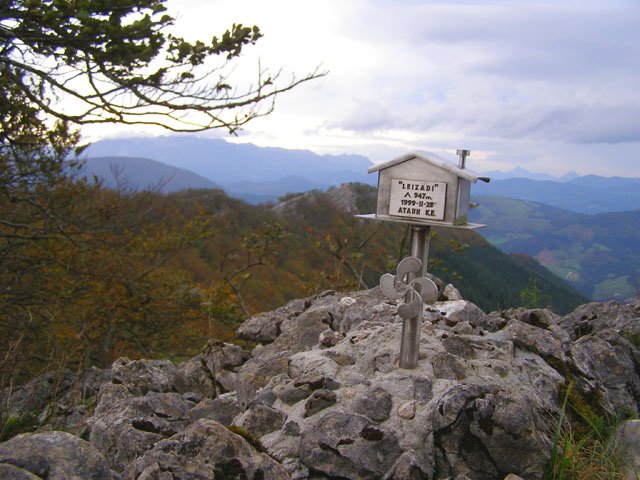 Leitzadiko buzoia