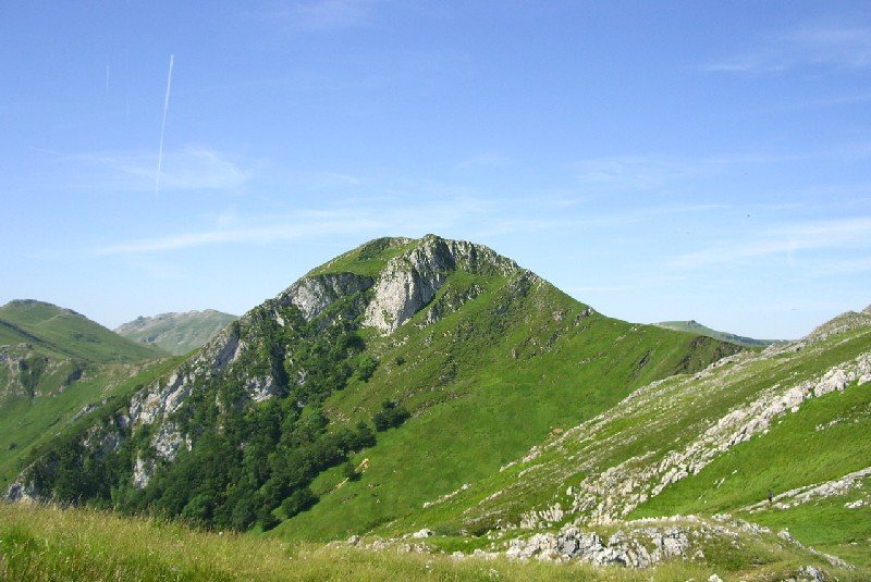 Urakorri