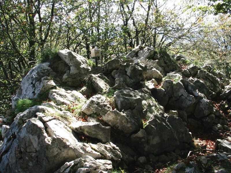 Tontorra