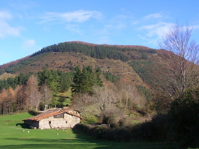 tontorra
