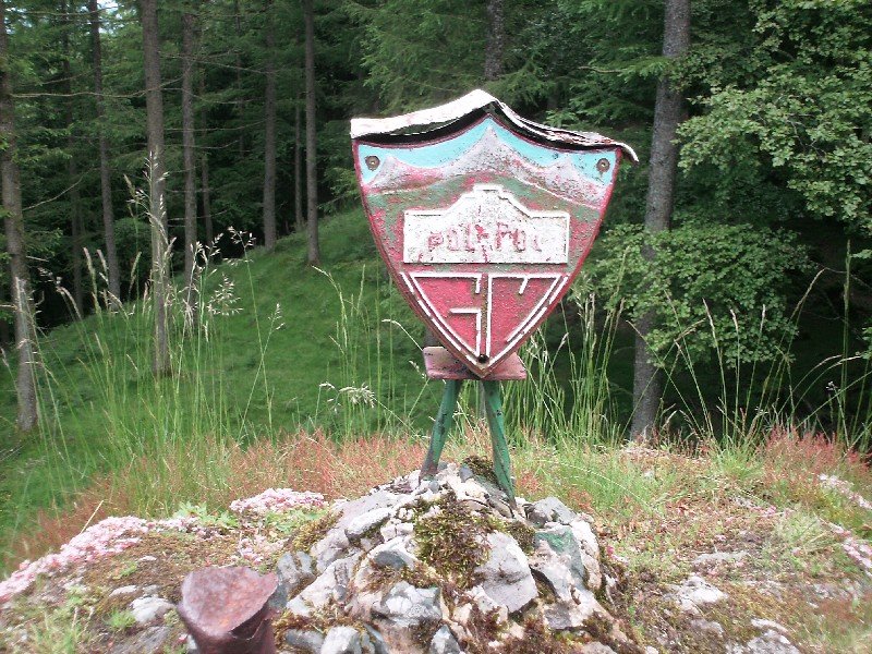 Buzoia