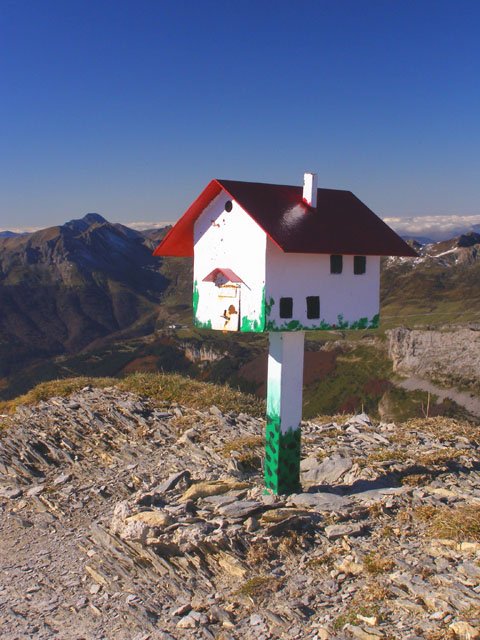 Buzoia