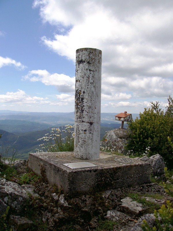 Gailurra