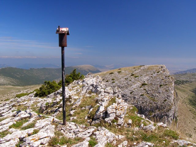 Gailurra