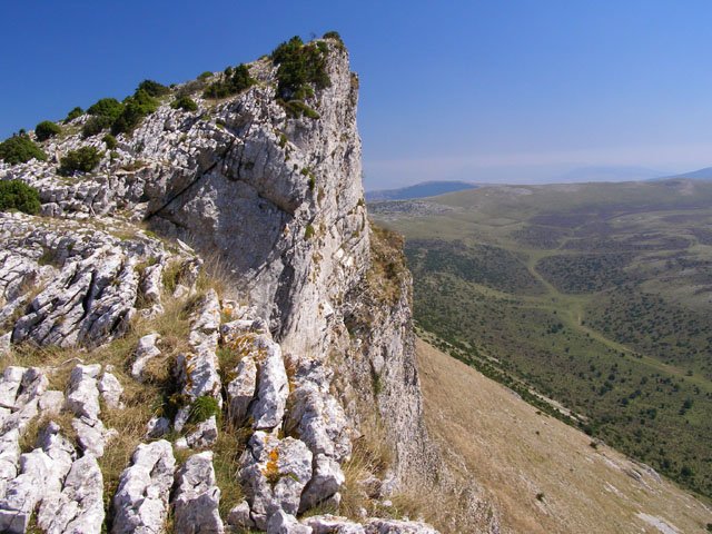 Tontorra
