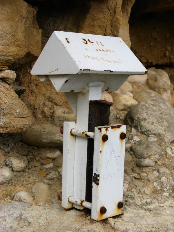 Buzoia