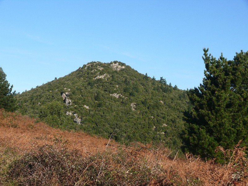 Ogoño