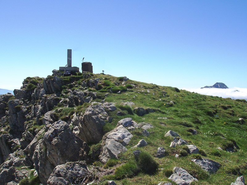 Gailurra