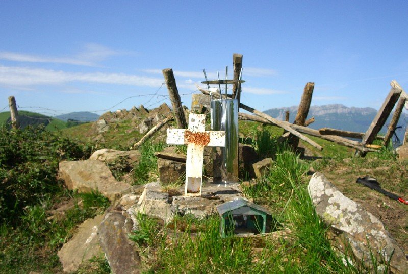 Buzoiak