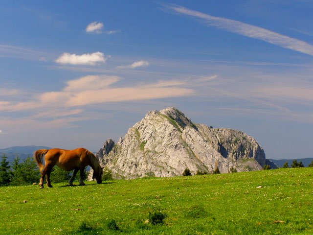 Tontorra