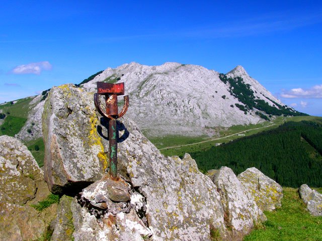 Buzoia