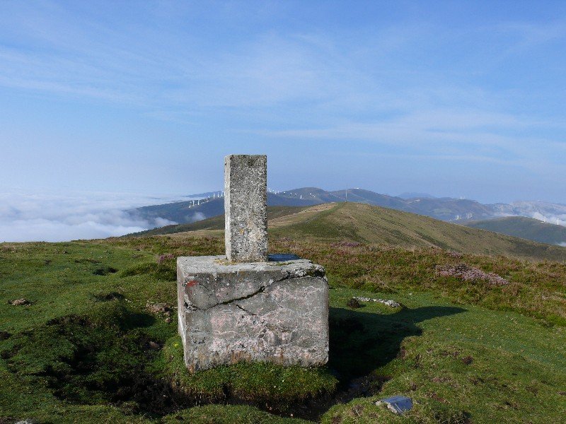 Tontorra
