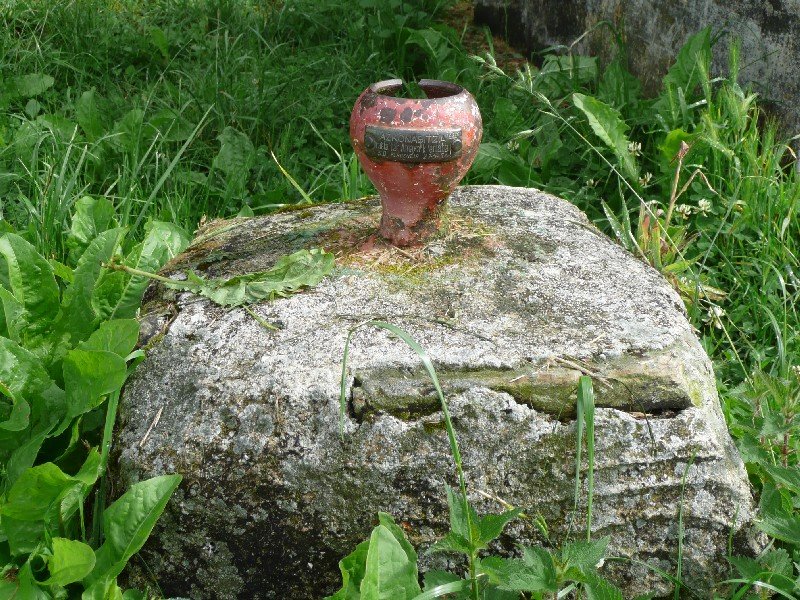 Buzoia