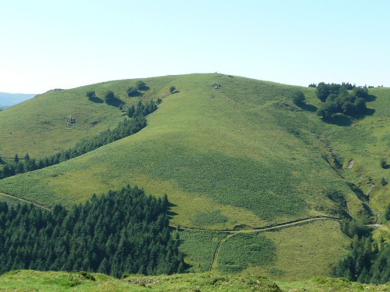  Erengatik