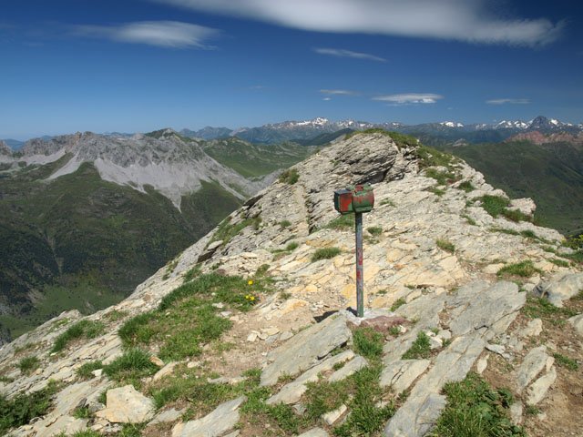 Gailurra