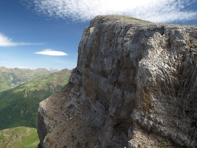 Sayestiko tontorra