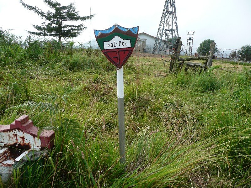 Buzoia
