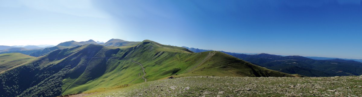 Gaztarrigaina