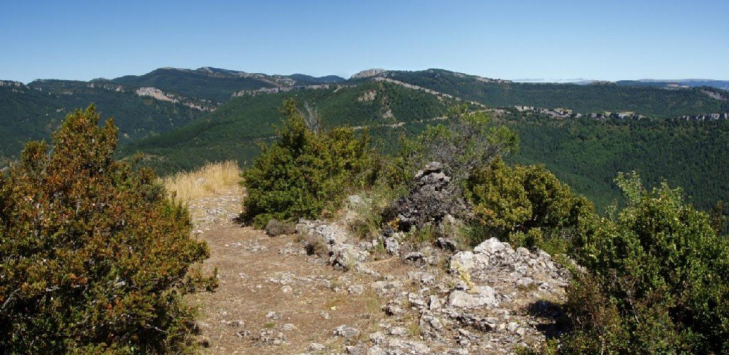 Behatokia