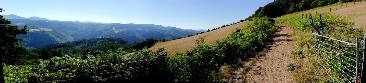 Bideko paisaiak