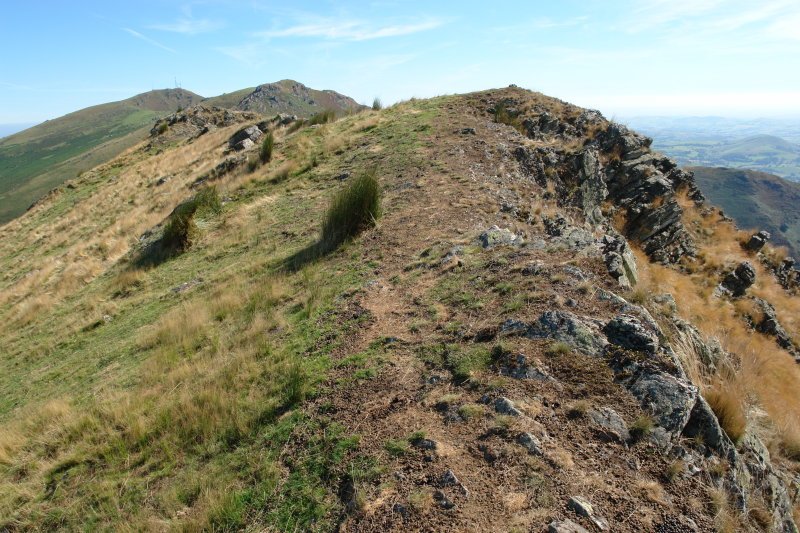 Tontorra