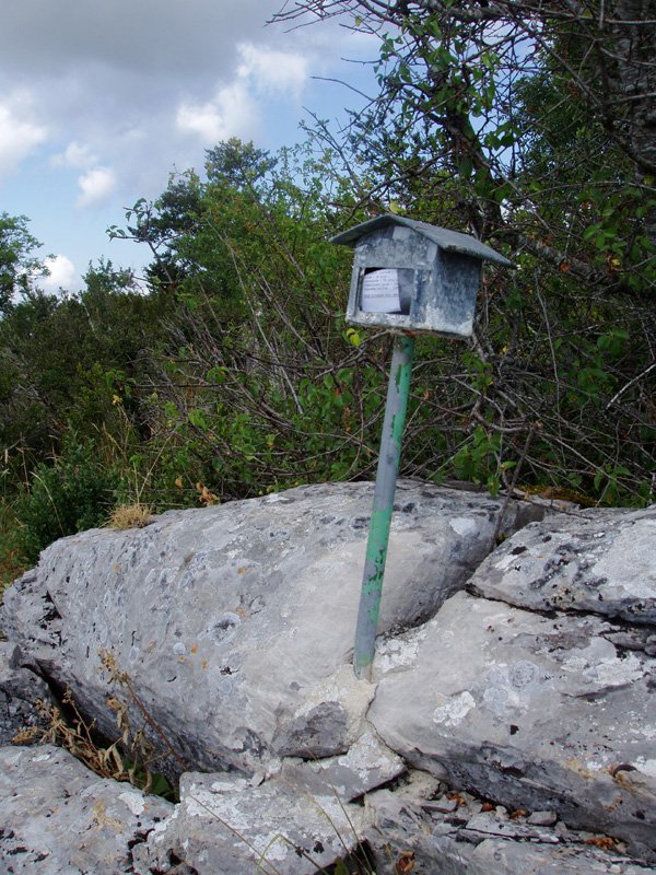Txartelontzia