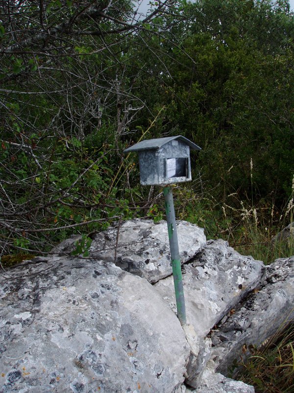 Txartelontzia