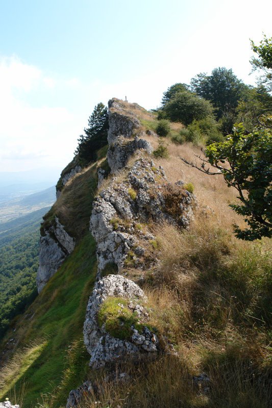 Bigate Mtik