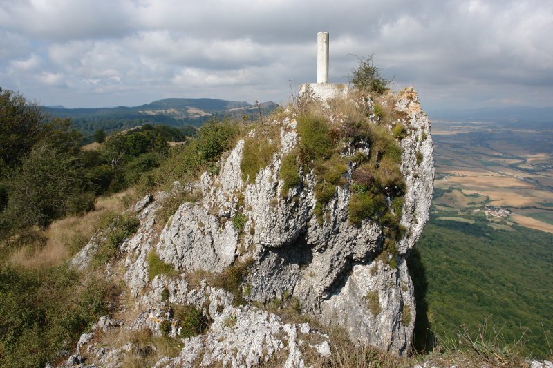Bigate tontorra