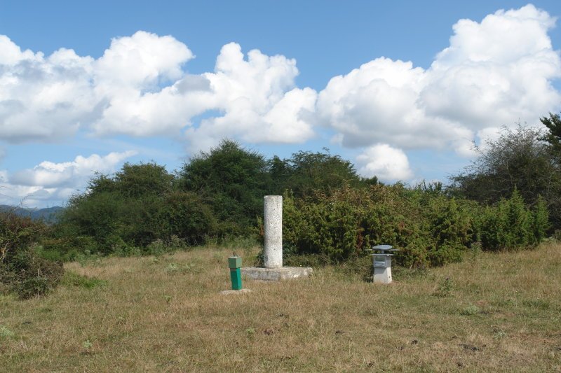 Tontorra