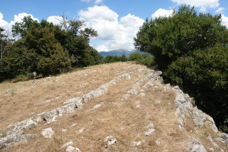 Mendigaña tontorra