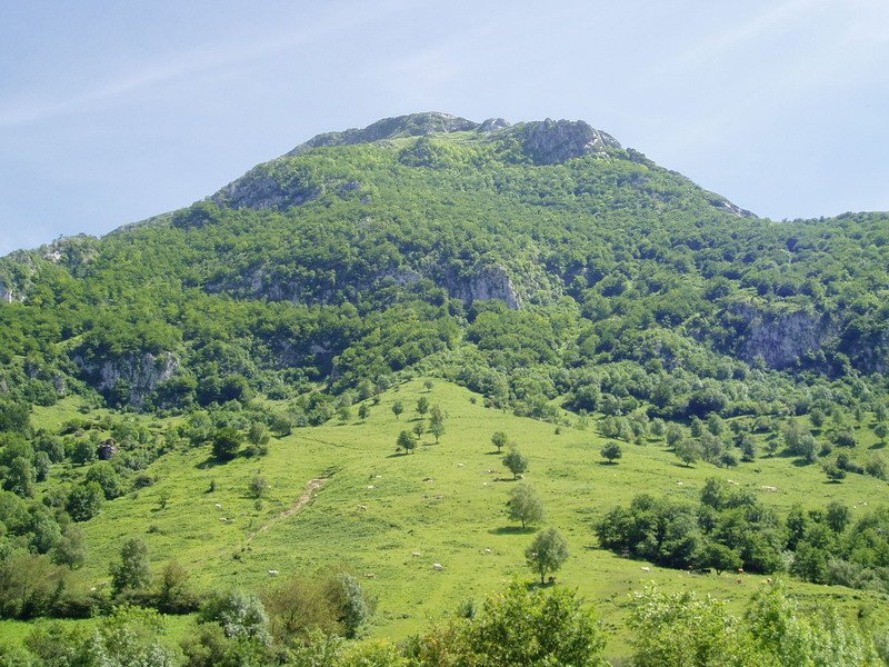 Larraiztik ikusita