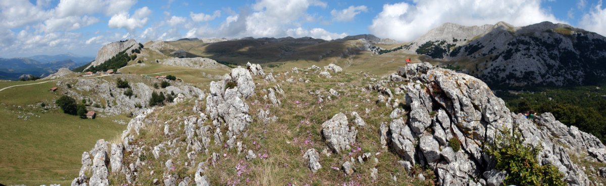 Tontorra