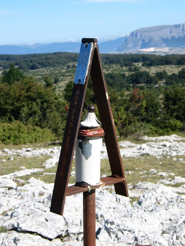 Buzoia
