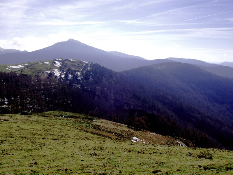 Enekorri eta Zuraun