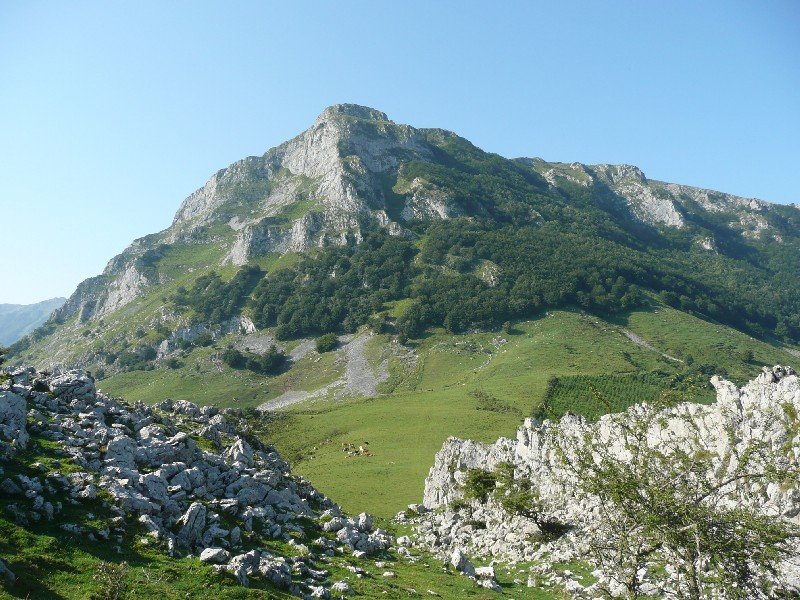 Balerdi