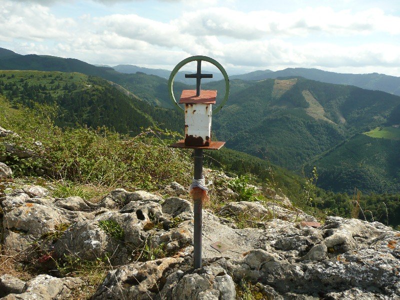 Buzoia
