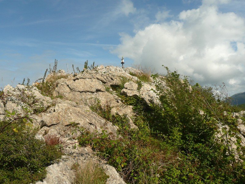 Tontorra