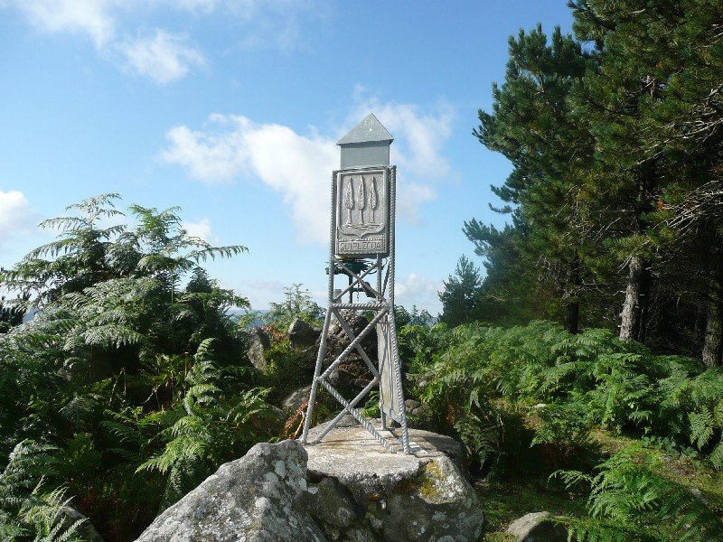 Buzoia